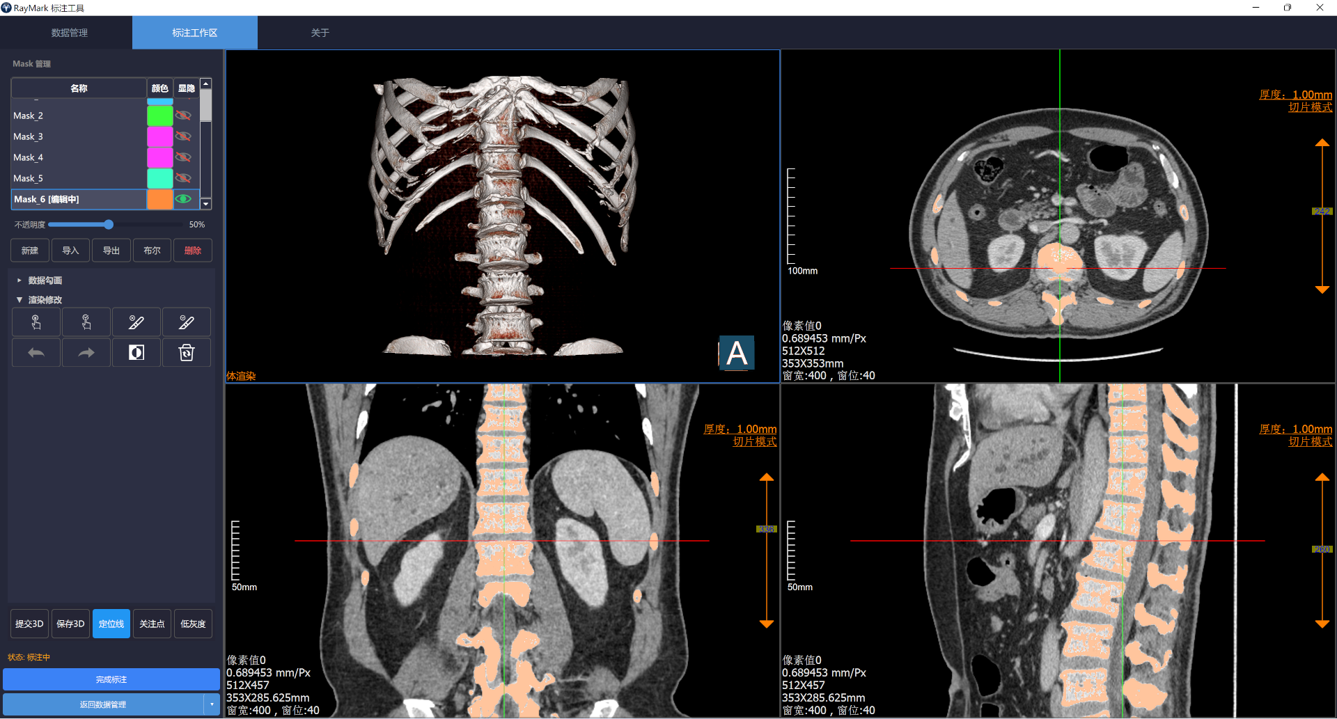 RayMark 标注工作区界面